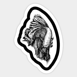 Betta Fish Sticker